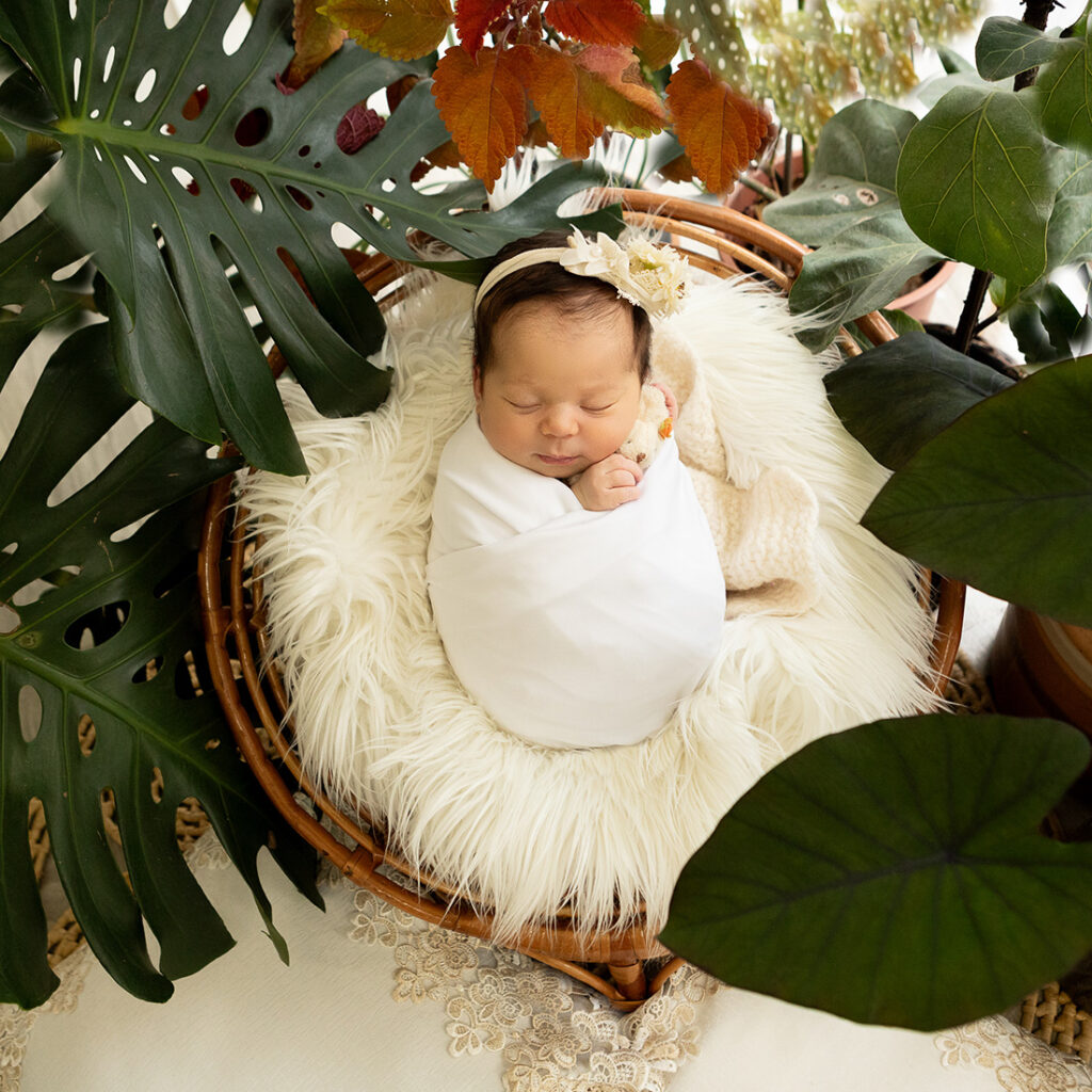 ensaio newborn da clarice com 13 dias de vida no estudio bh betim contagem