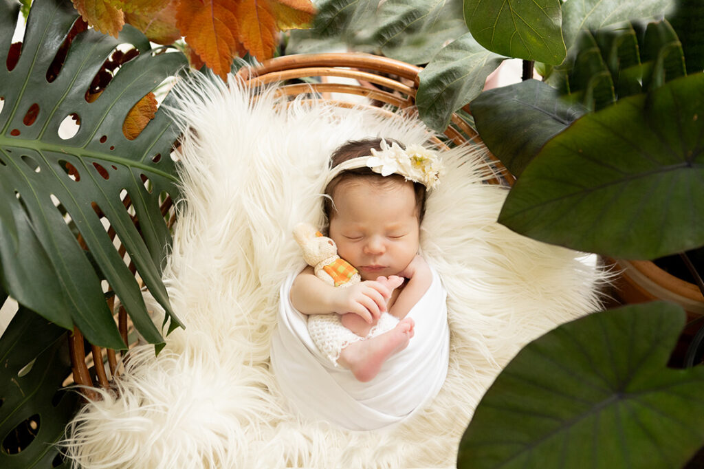 ensaio newborn da clarice com 13 dias de vida no estudio bh betim contagem